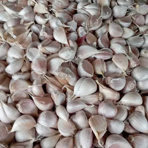 Bawang Putih Kating (1/4 kg)