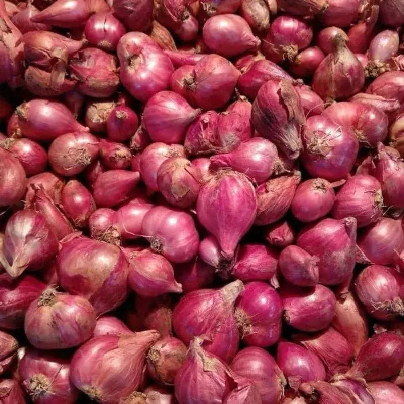 Bawang Merah Brebes (1/4 kg)